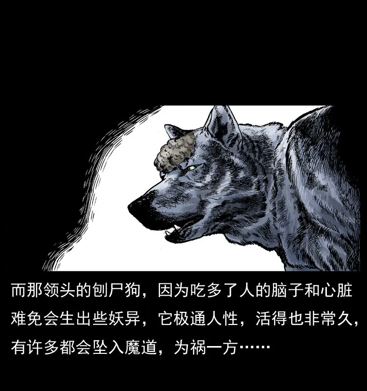 005 刨尸狗 第17页