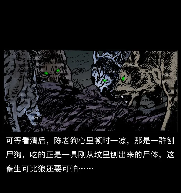 005 刨尸狗 第40页