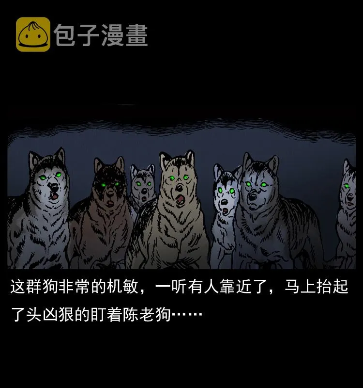 005 刨尸狗 第41页
