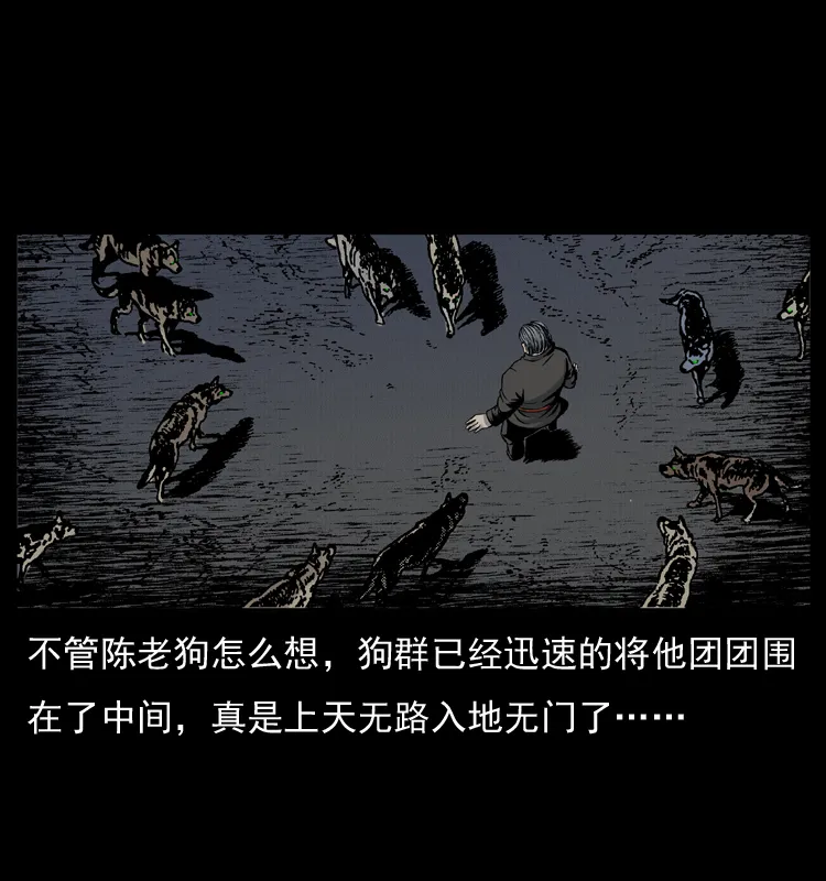005 刨尸狗 第44页