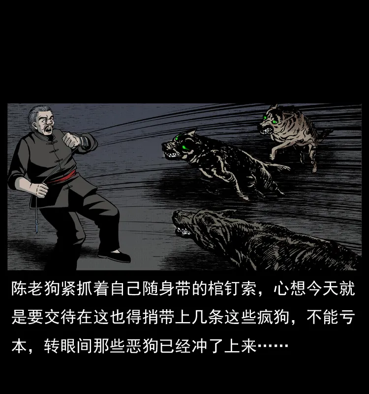 005 刨尸狗 第45页