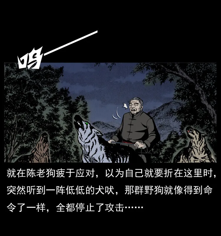 005 刨尸狗 第46页