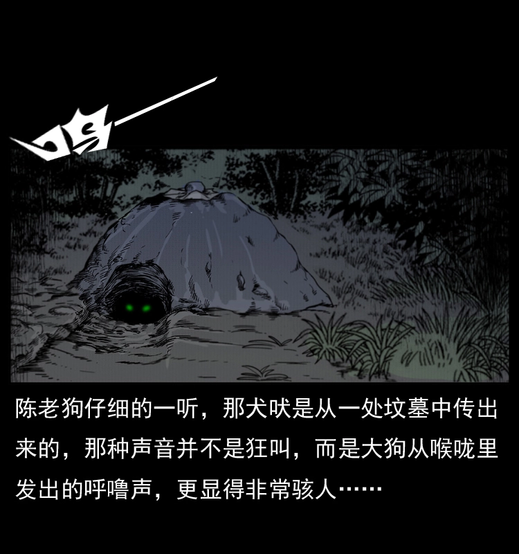 005 刨尸狗 第47页