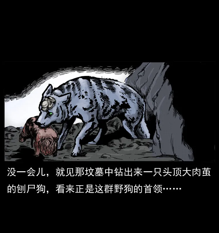005 刨尸狗 第48页