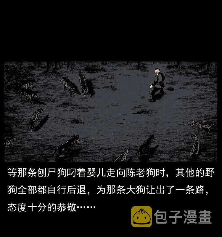 005 刨尸狗 第50页