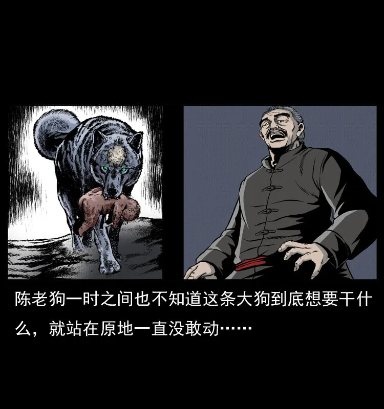 005 刨尸狗 第51页