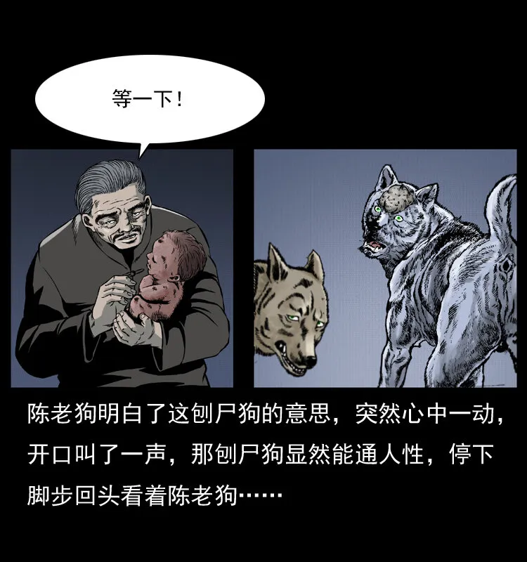 005 刨尸狗 第58页