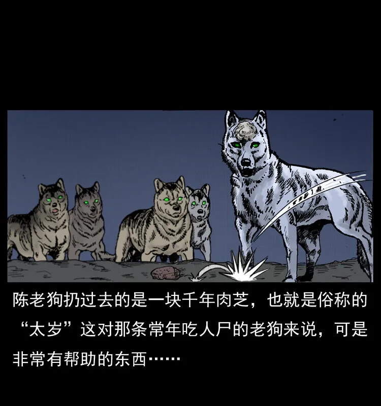005 刨尸狗 第60页