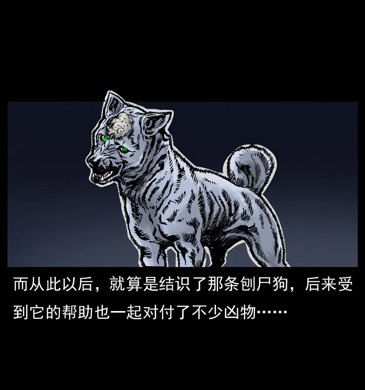 005 刨尸狗 第62页