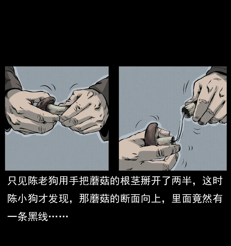 006 棺材菇 第17页