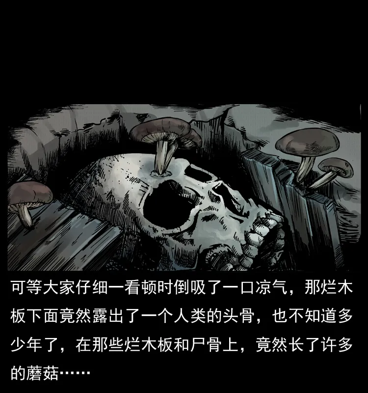 006 棺材菇 第31页