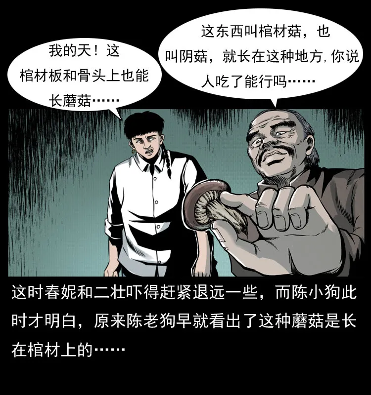 006 棺材菇 第32页