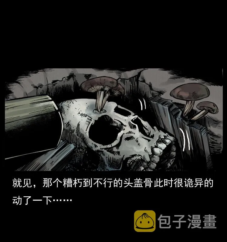 006 棺材菇 第41页