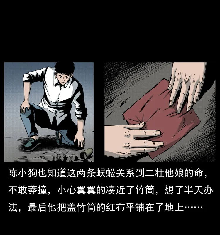 006 棺材菇 第48页