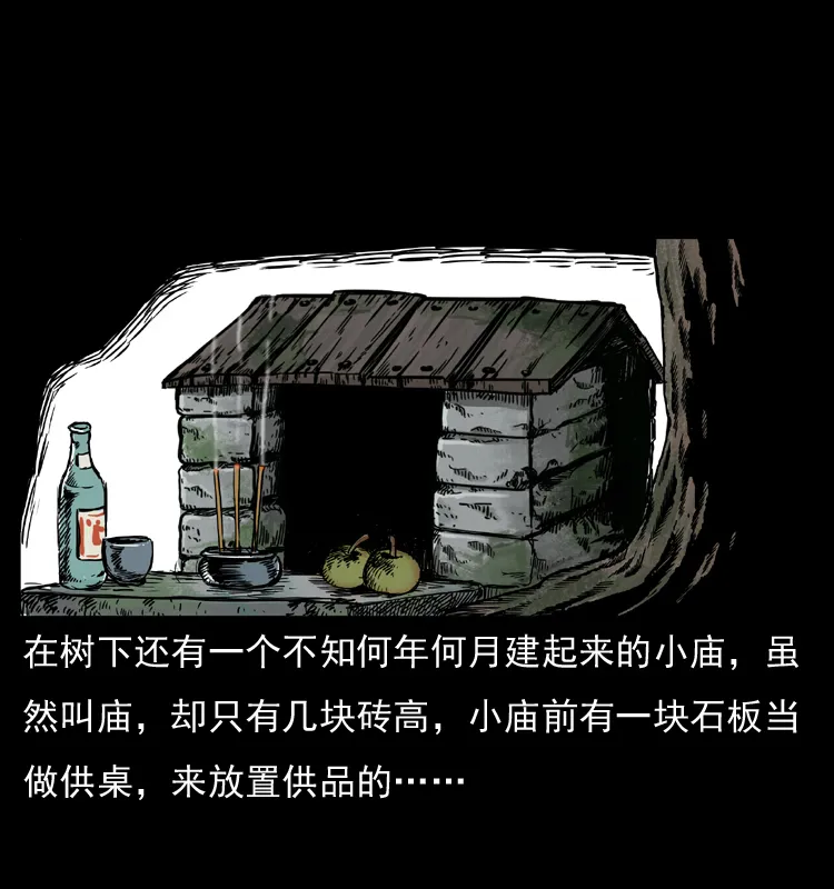 008 槐树下的小庙 第11页