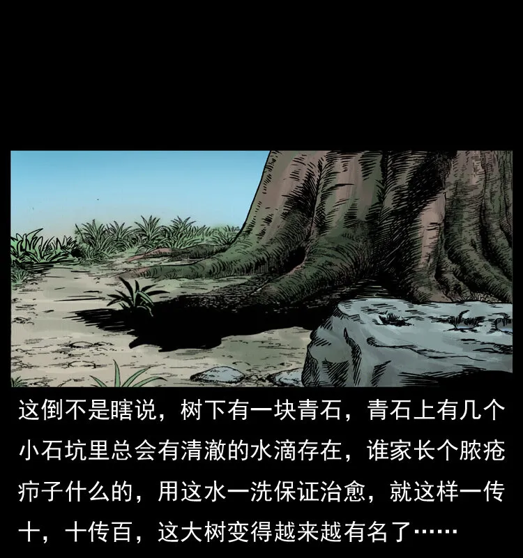 008 槐树下的小庙 第13页