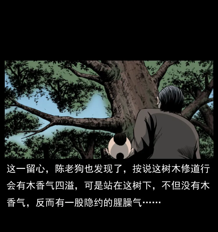 008 槐树下的小庙 第17页