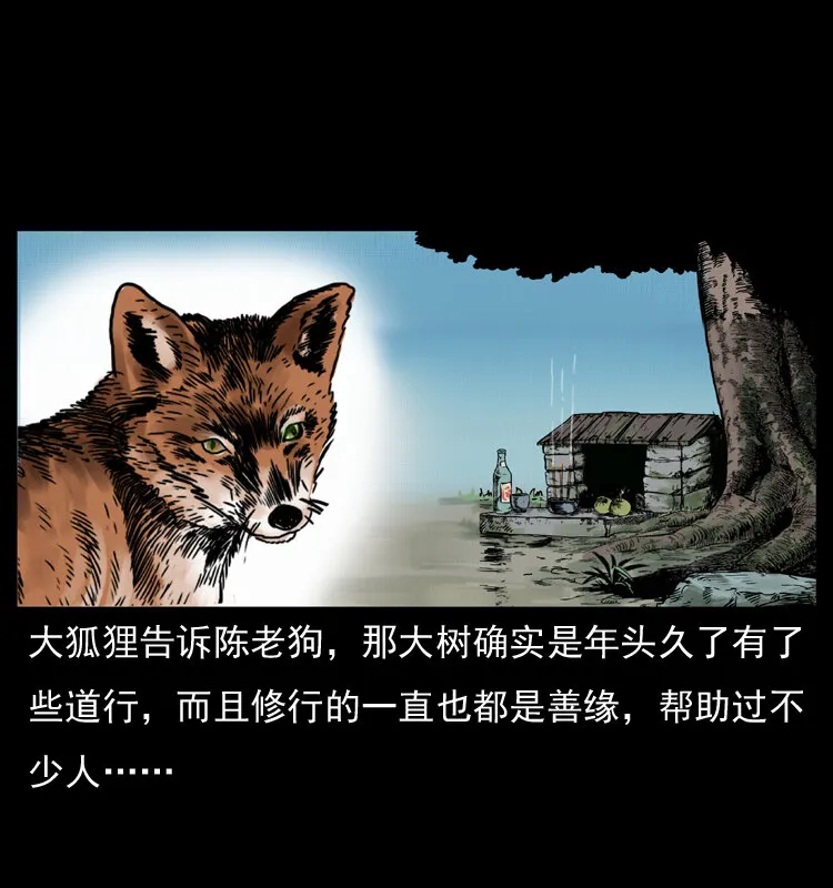 008 槐树下的小庙 第49页