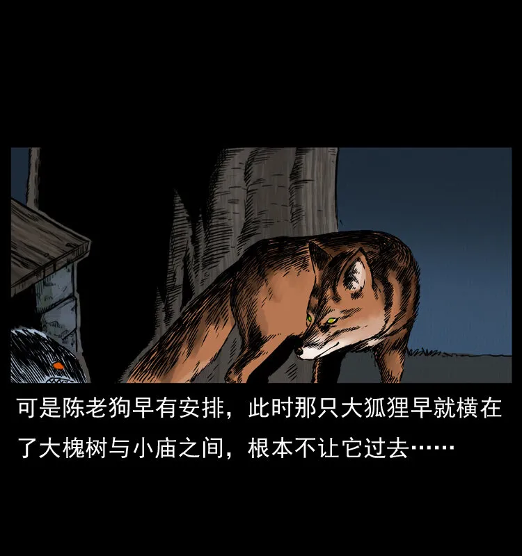 008 槐树下的小庙 第62页