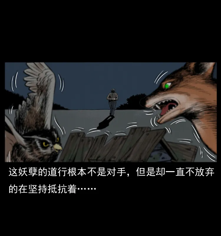 008 槐树下的小庙 第67页