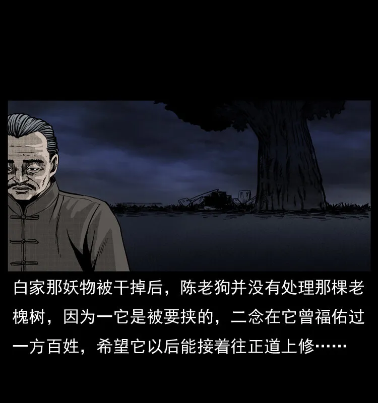 008 槐树下的小庙 第68页