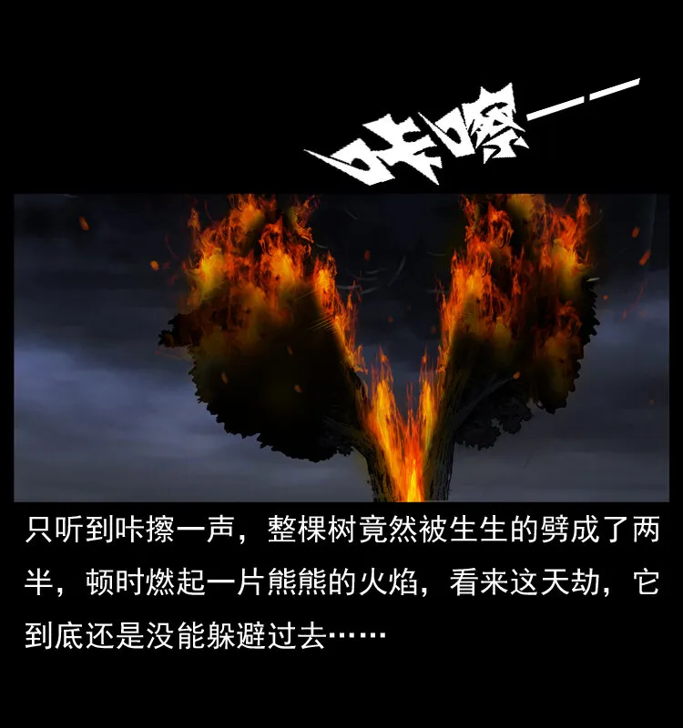 008 槐树下的小庙 第71页