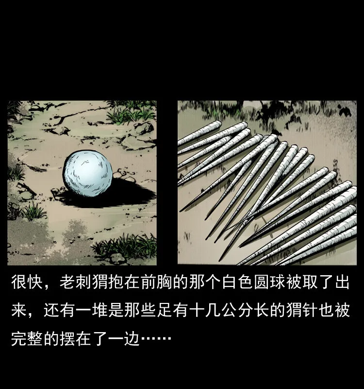 009 刘瞎子 第13页