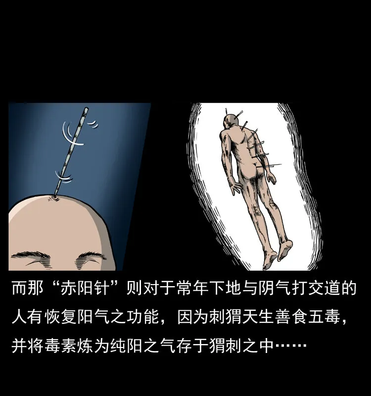 009 刘瞎子 第53页