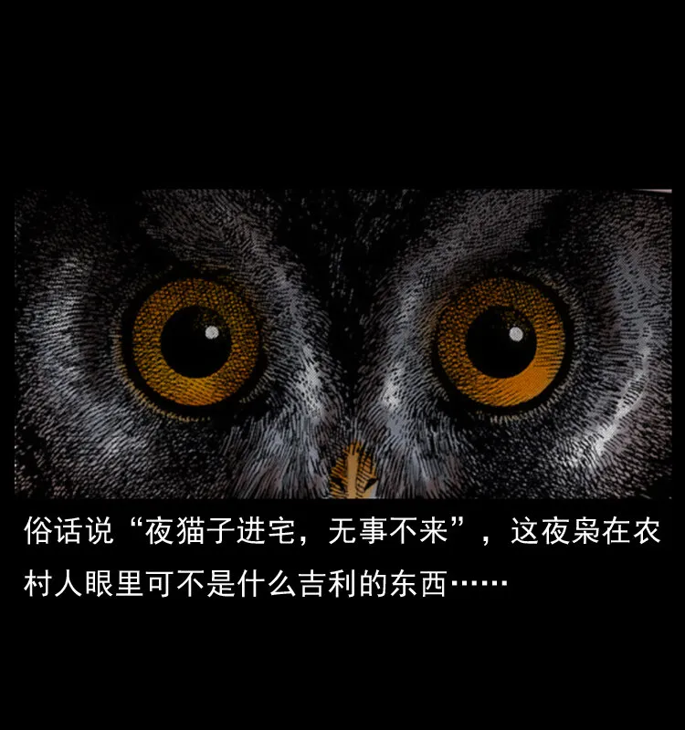 009 刘瞎子 第70页