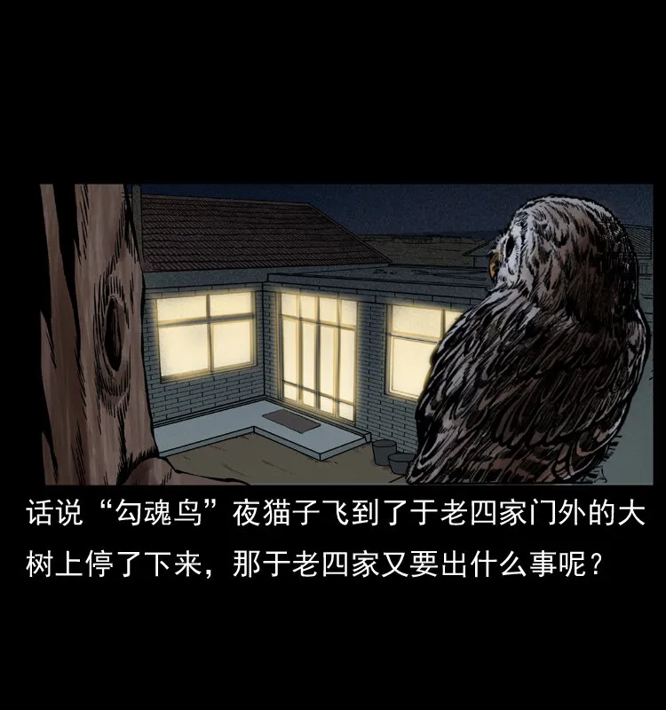 010 带回来的女鬼 第2页