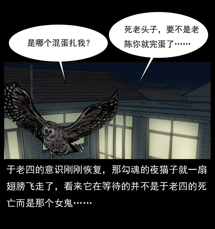 010 带回来的女鬼 第61页