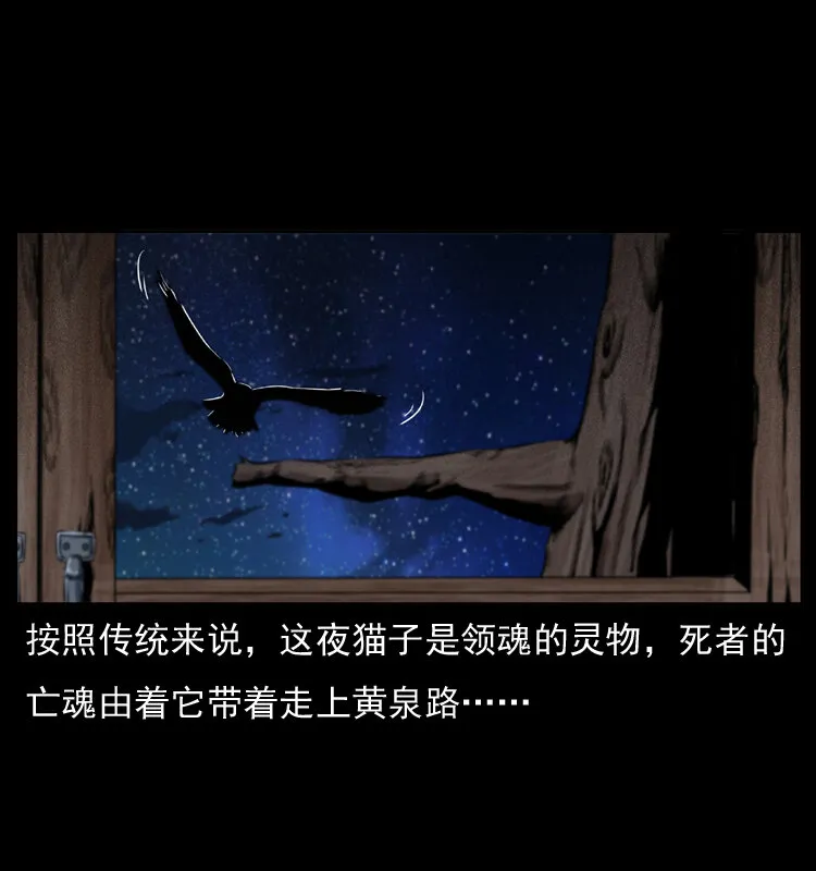 010 带回来的女鬼 第63页