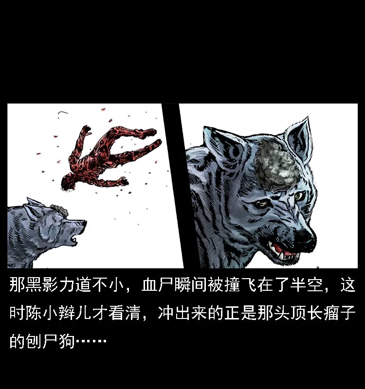 014 斗血尸 第29页