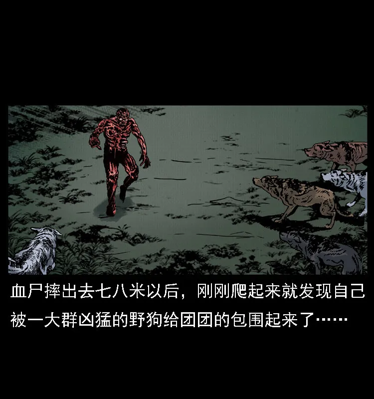 014 斗血尸 第30页