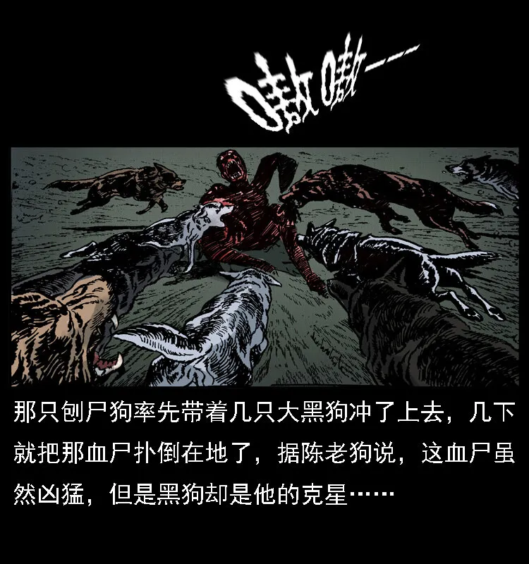 014 斗血尸 第31页