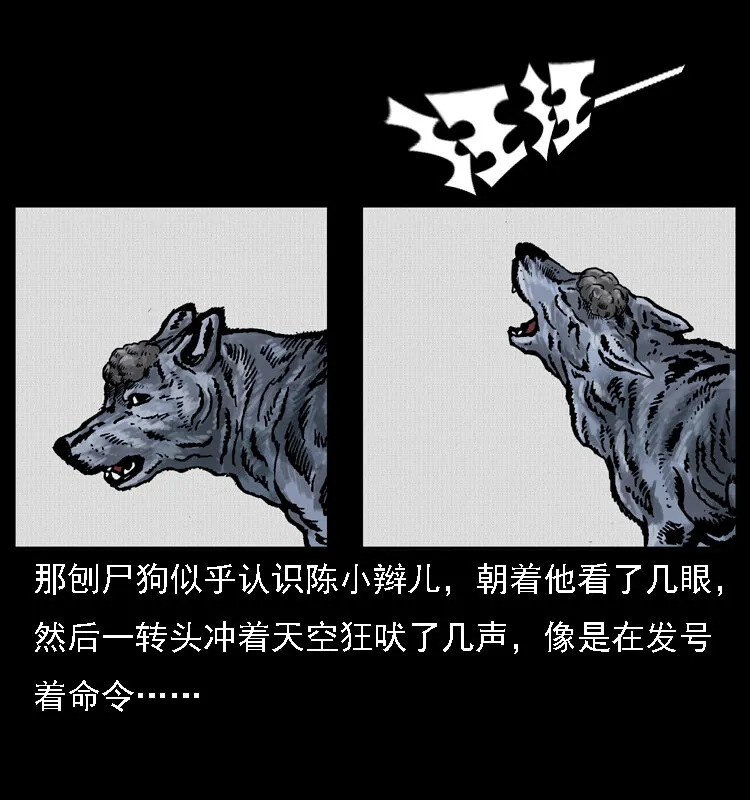 014 斗血尸 第65页