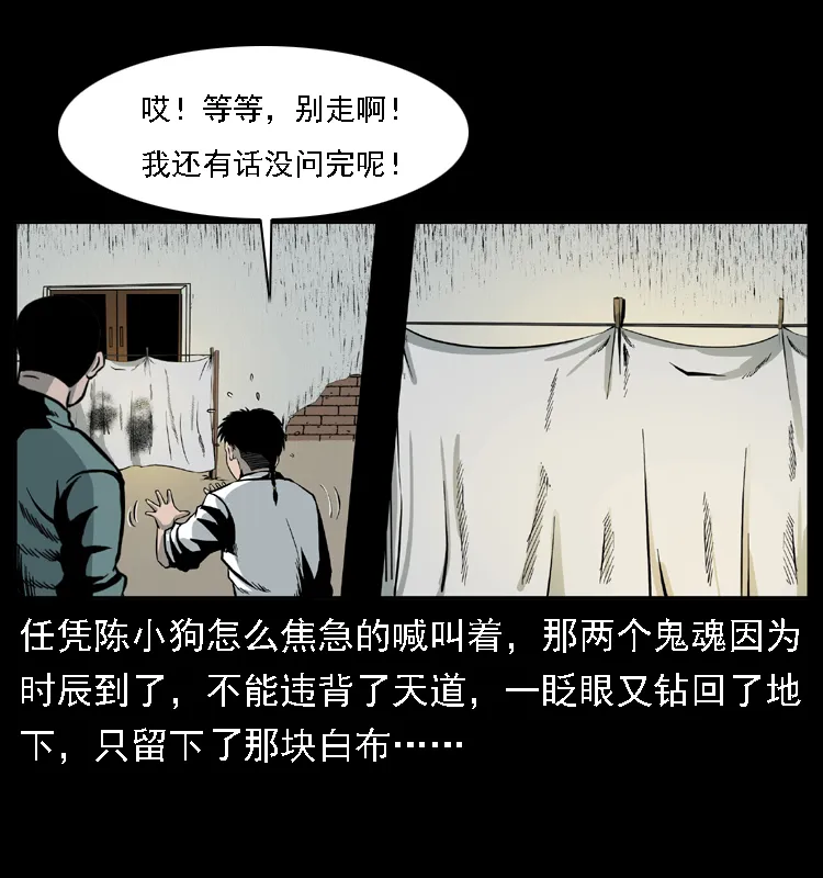 020 陈小狗捉鬼（下） 第46页