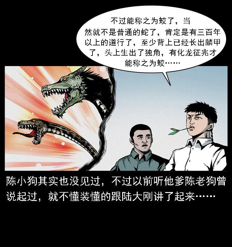 020 陈小狗捉鬼（下） 第58页