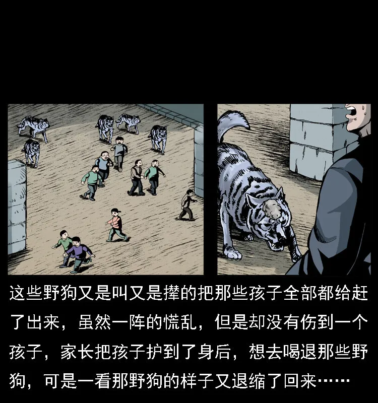 021 天兆 第49页
