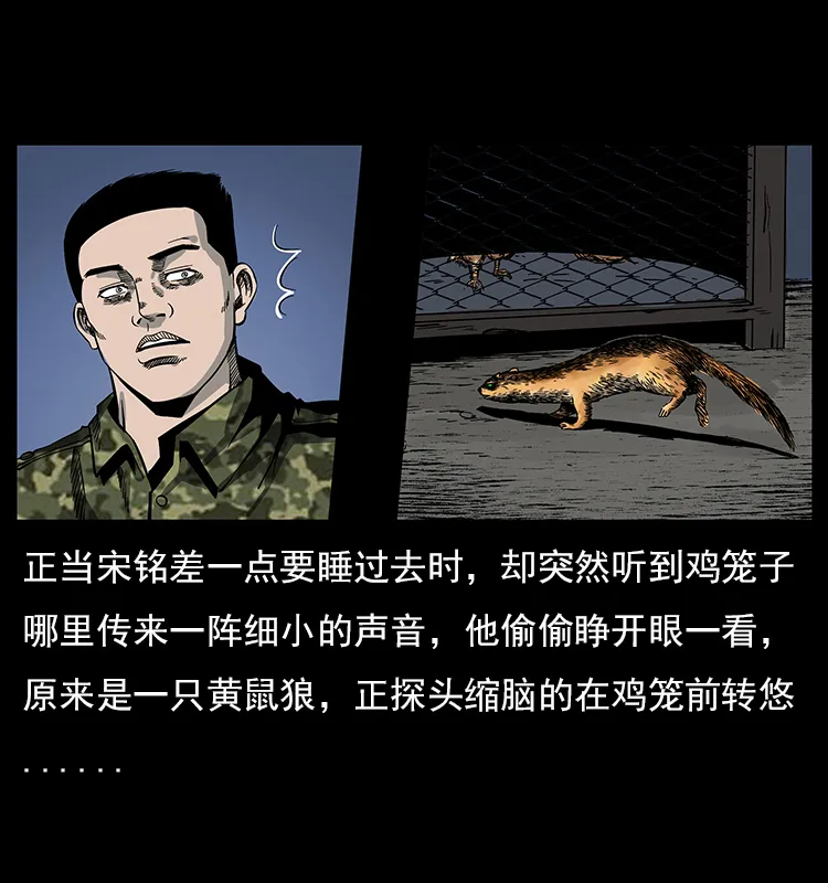 022 压胜 第27页