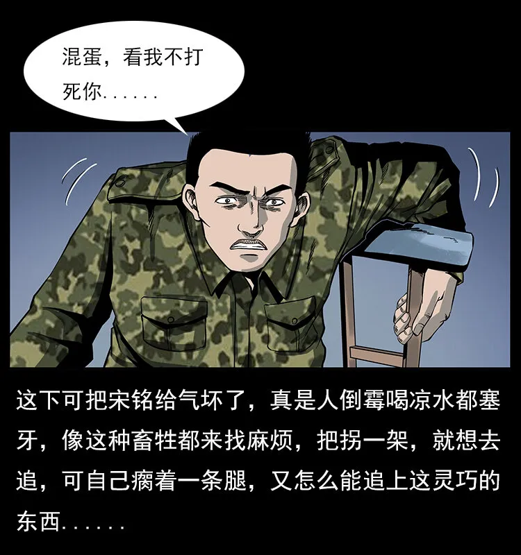 022 压胜 第29页