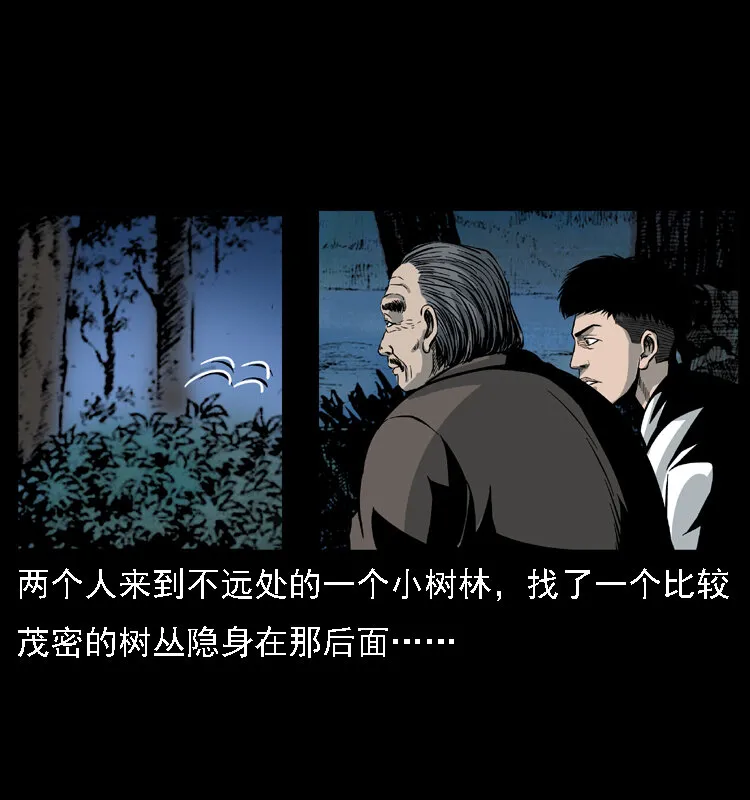 024 聚宝蟾 第9页