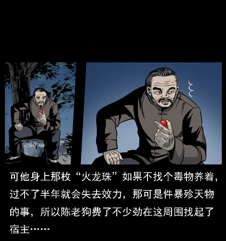 024 聚宝蟾 第13页