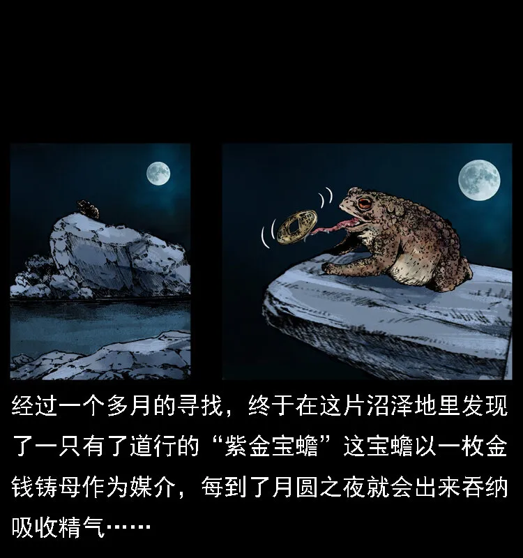 024 聚宝蟾 第14页