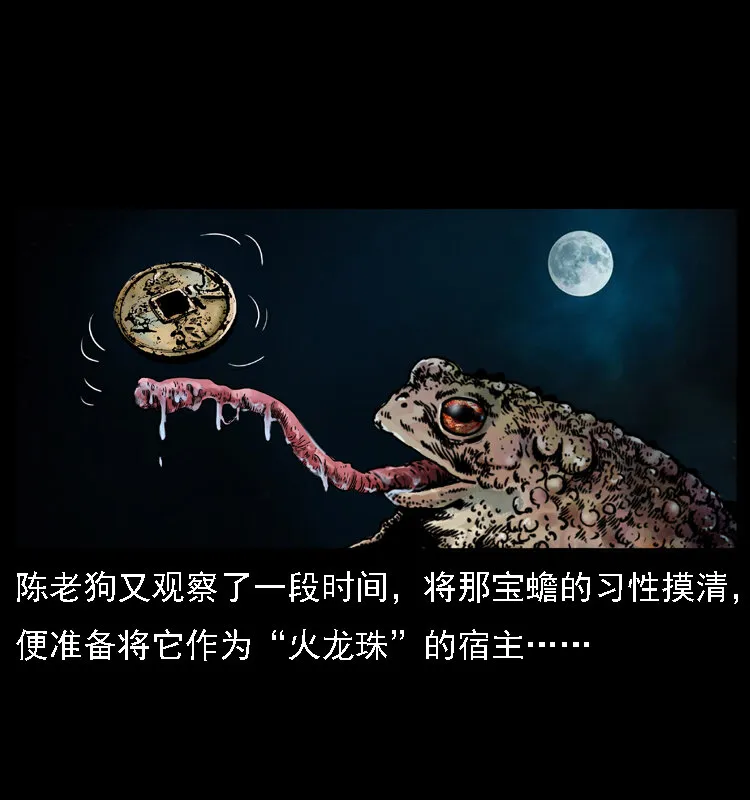 024 聚宝蟾 第15页