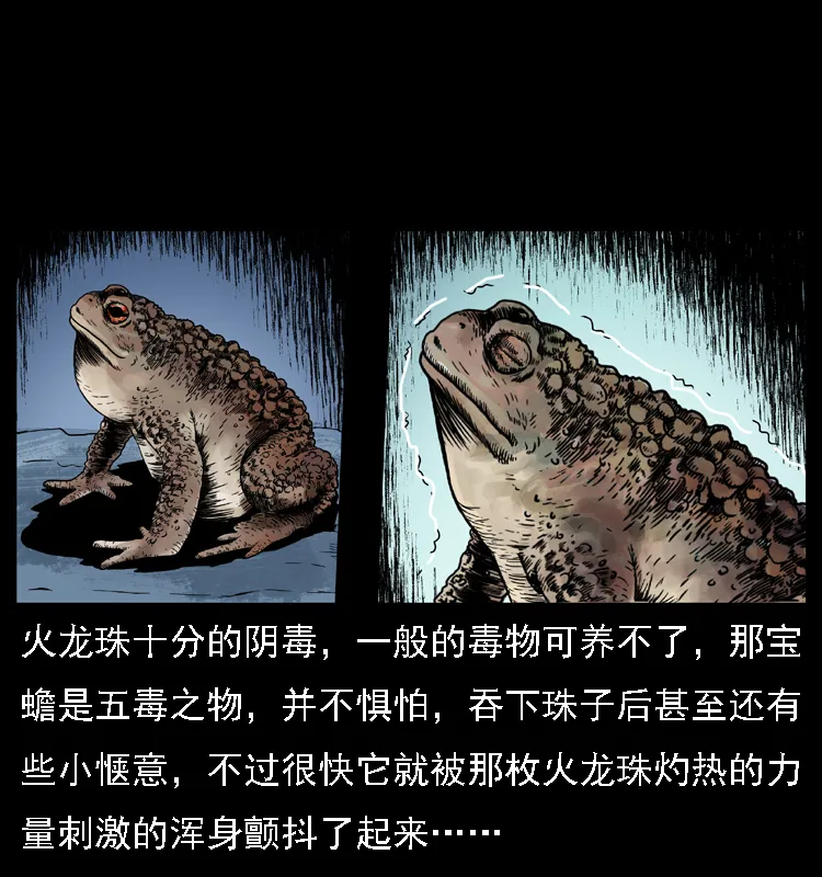 024 聚宝蟾 第21页