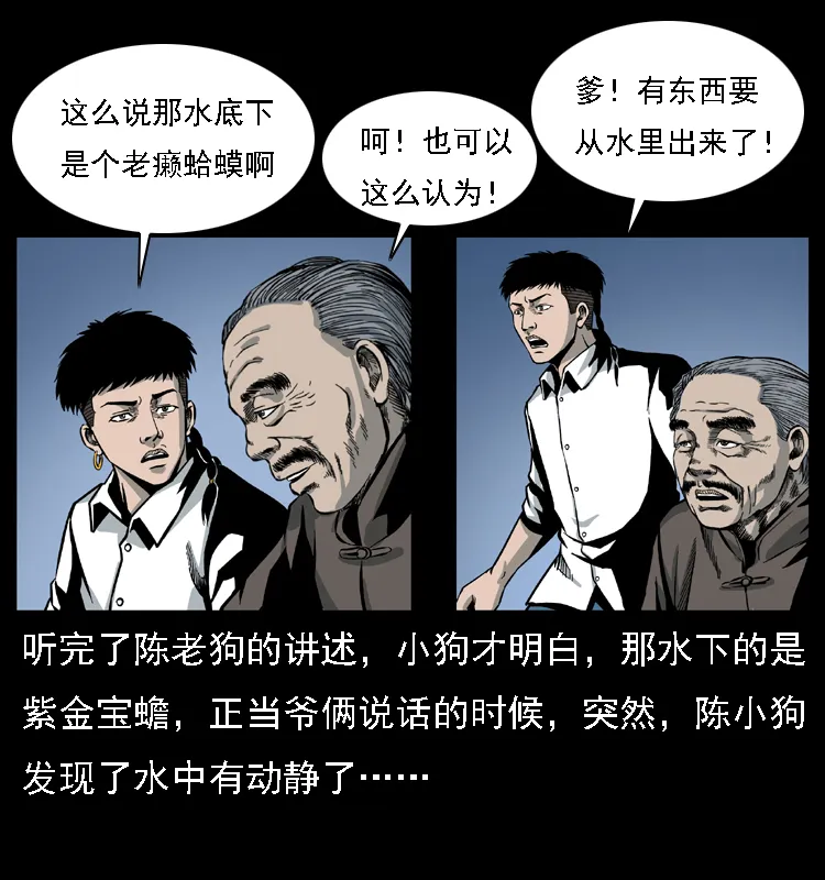 024 聚宝蟾 第25页