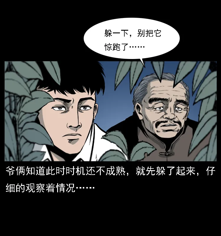 024 聚宝蟾 第26页