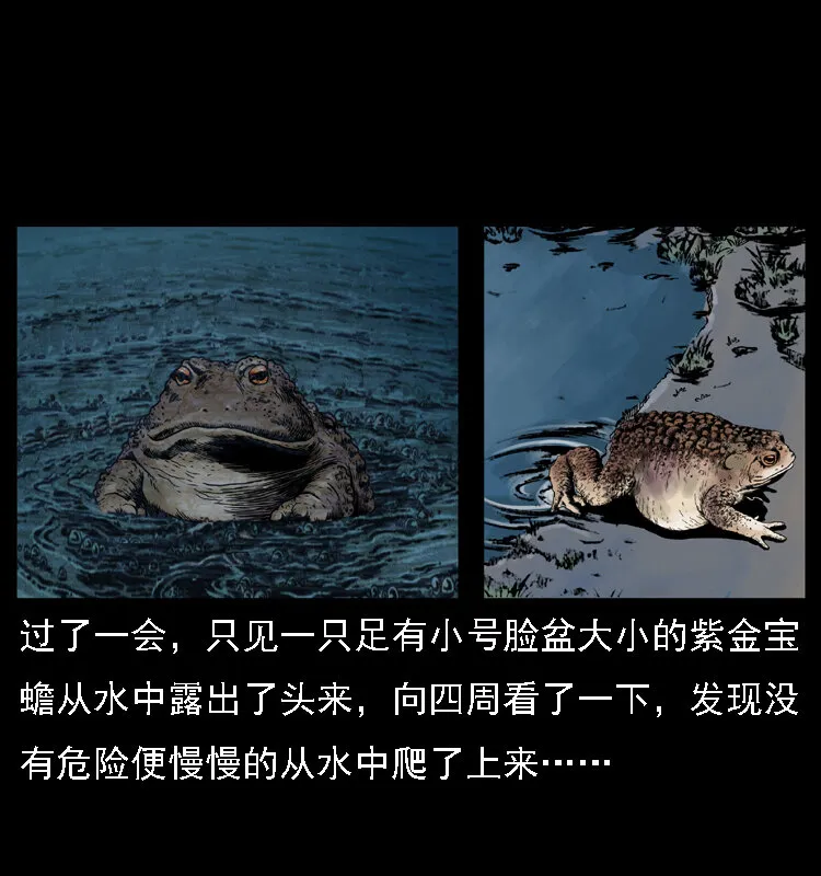 024 聚宝蟾 第28页