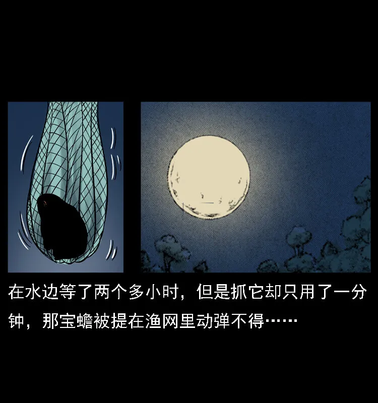 024 聚宝蟾 第36页